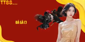 Đá Gà C1 TT88 - Đấu Trí Kịch Tính Và Hấp Dẫn Hàng Đầu