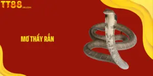 Mơ Thấy Rắn Mang Điềm Lành Hay Dữ Với Chủ Nhân Giấc Mơ